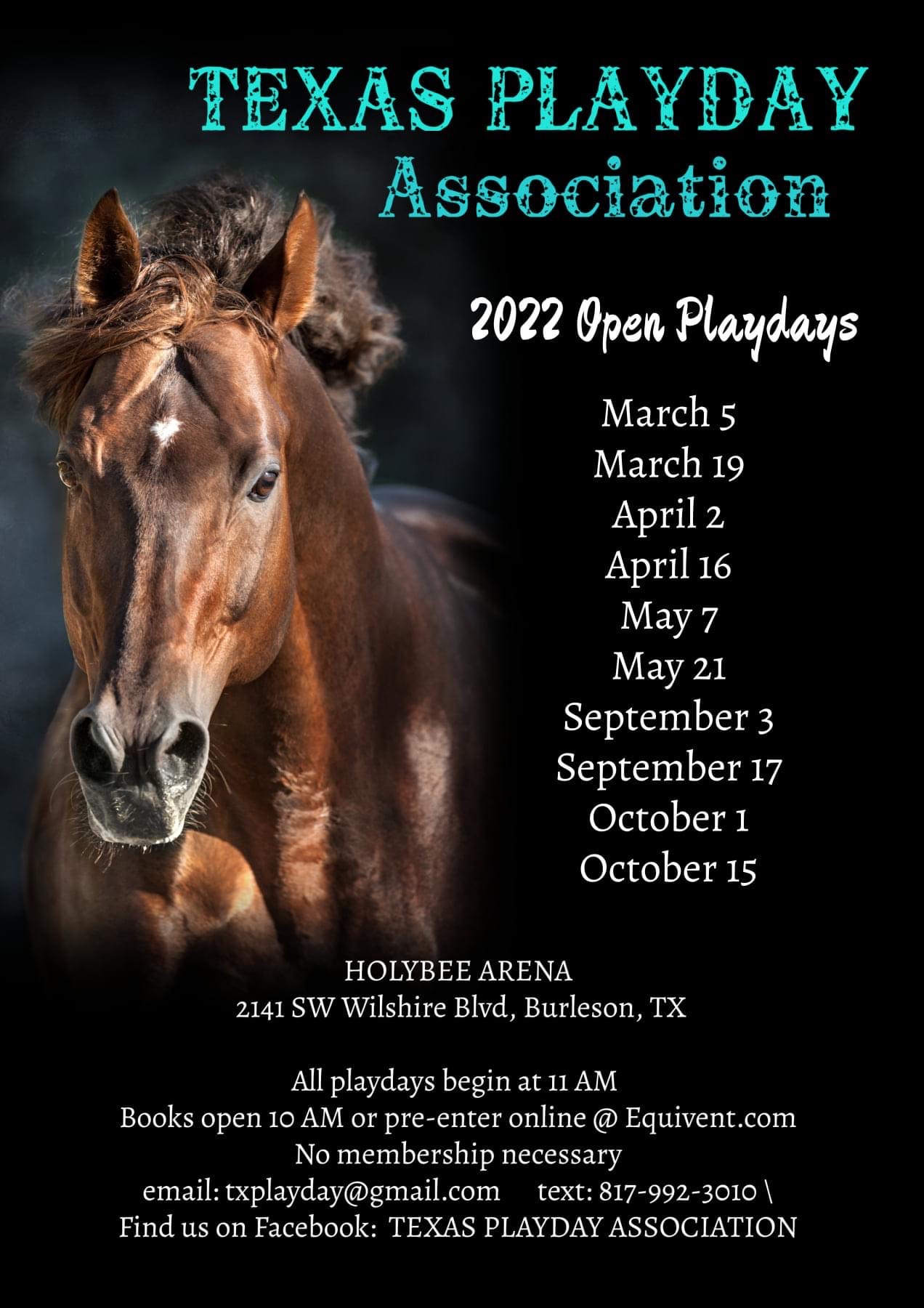 Morgan Horse Club of Texas