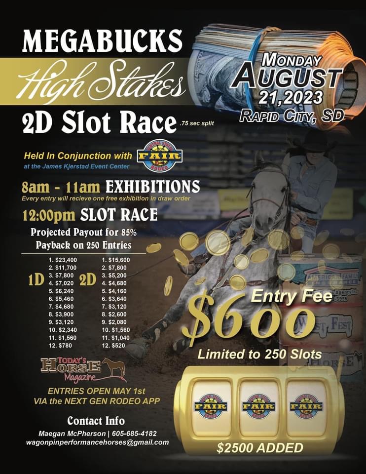 Mega Bucks High Stakes 2D Slot Race