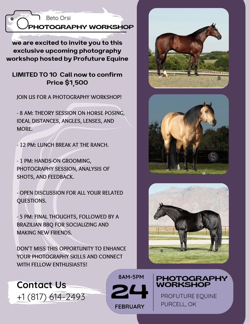 IF YOU WANT TO LEARN HOW TO PHOTOGRAPH YOUR SALE HORSES THIS IS FOR YOU!! One day clinic 