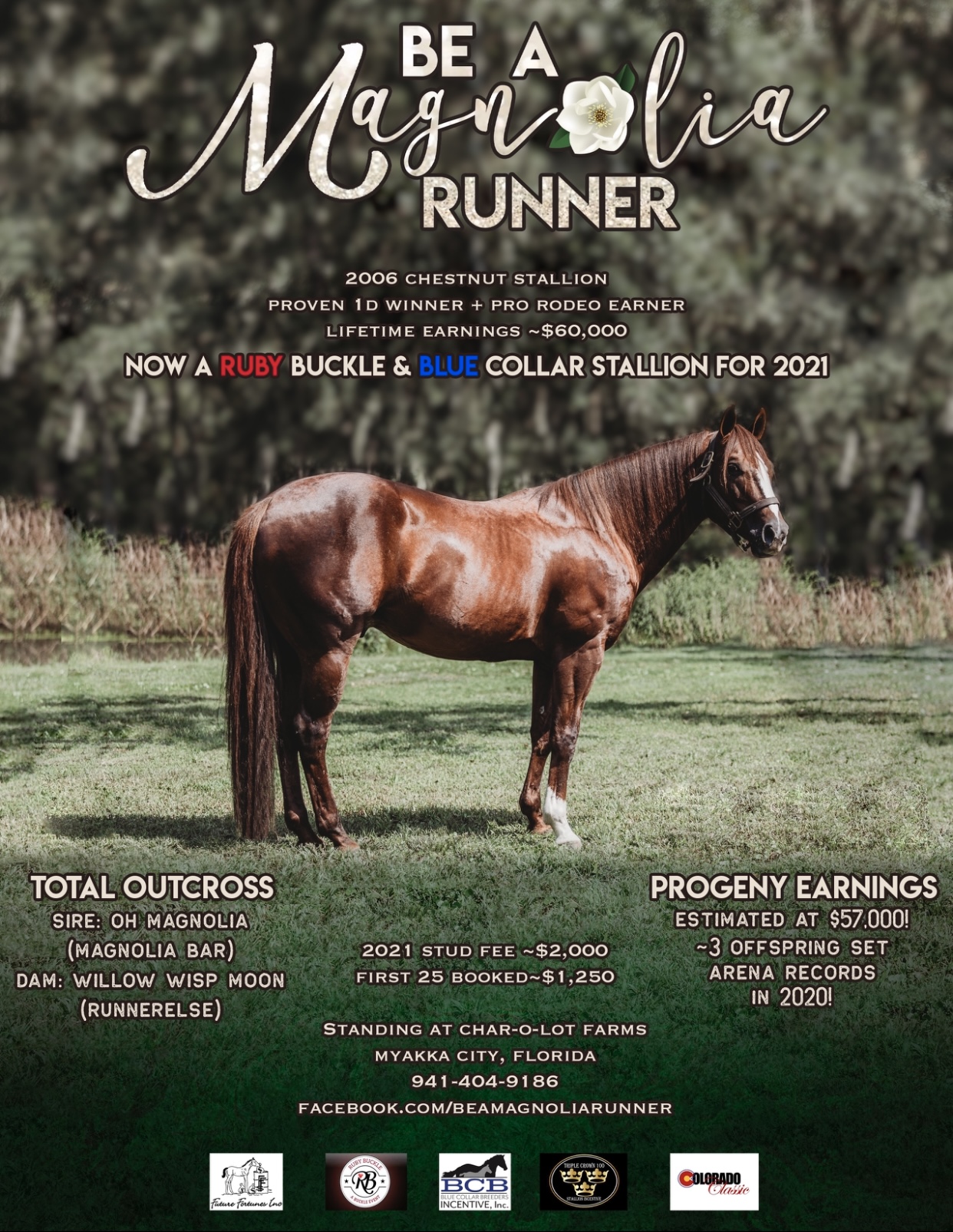 https://performancehorsehotline.com/horse-2021/541/Be-A-Magnolia-Runner-Flyer.jpeg