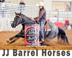 JJ Barrel Horses