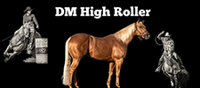 Barrel Racing Stallion DM High Roller