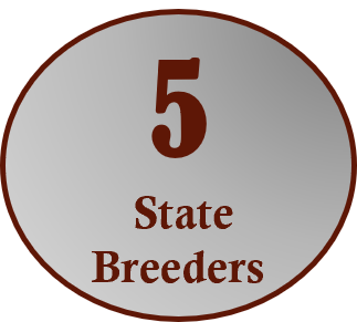 5 State Breeders
