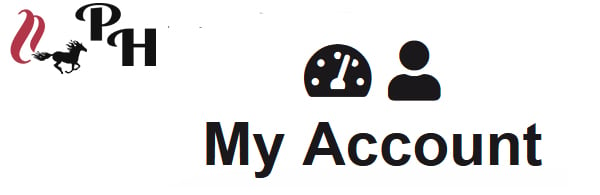 My Account Dashboard