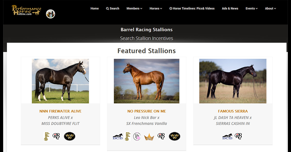 Barrel Racing Stallions