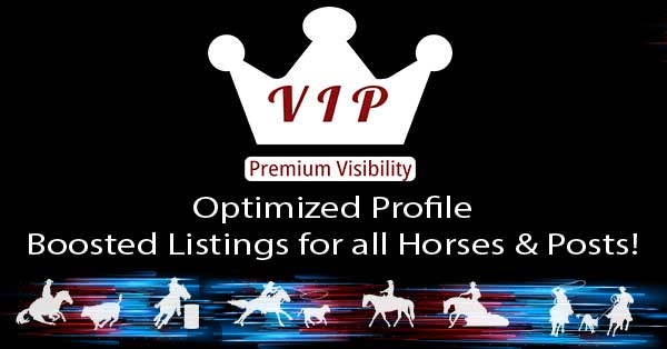 VIP Premium Visiblity